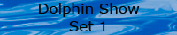 Seaworld Dolphin Show Set 1