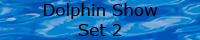 Seaworld Dolphin Show Set 2