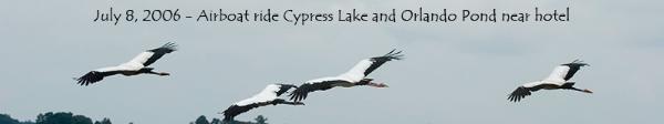 July 8, 2006 Airboat Ride Cypress Lake Florida